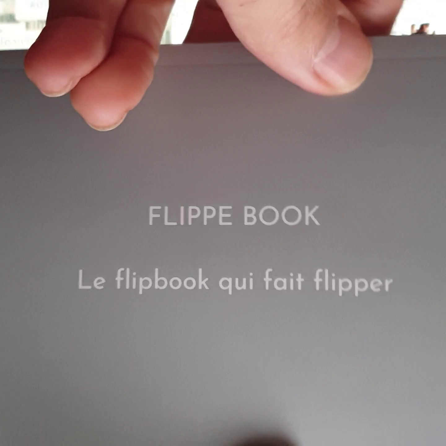 Flippe Book